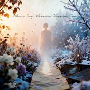 Aerial view of a misty winter garden with snow-covered plants and flowers, silhouettes of a woman walking, ethereal sunlight, peaceful winter scene, inspiring nature photography.